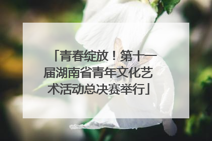 青春绽放！第十一届湖南省青年文化艺术活动总决赛举行