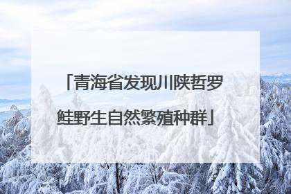 青海省发现川陕哲罗鲑野生自然繁殖种群