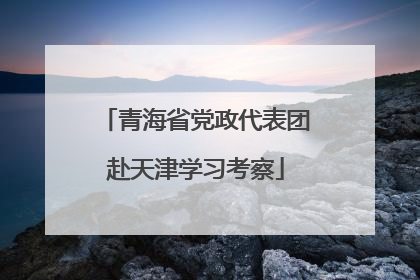 青海省党政代表团赴天津学习考察