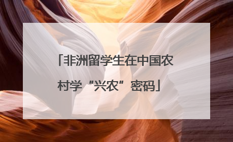 非洲留学生在中国农村学“兴农”密码