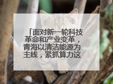 面对新一轮科技革命和产业变革，青海以清洁能源为主线，紧抓算力这个数字经济的“血液”、科技主权的“筹码”、产业升级的“杠杆”、绿色转型的“支点”，勇于撬动国家“双碳”战略、“东数西算”工程重大发展新机遇