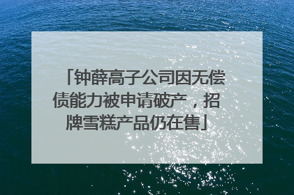 钟薛高子公司因无偿债能力被申请破产，招牌雪糕产品仍在售
