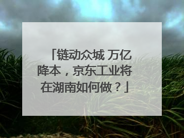 链动众城 万亿降本，京东工业将在湖南如何做？