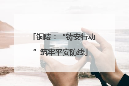 铜陵：“铸安行动”筑牢平安防线