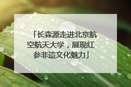 长森源走进北京航空航天大学，展现红参非遗文化魅力