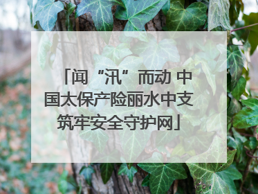 闻“汛”而动 中国太保产险丽水中支筑牢安全守护网