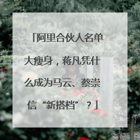 阿里合伙人名单大瘦身，蒋凡凭什么成为马云、蔡崇信“新搭档”？