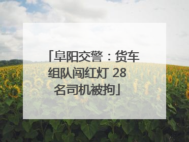 阜阳交警：货车组队闯红灯 28名司机被拘