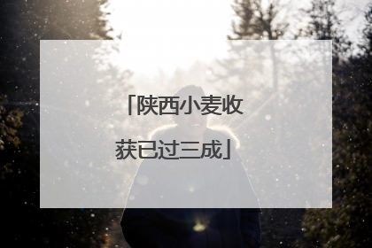 陕西小麦收获已过三成