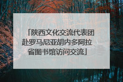 陕西文化交流代表团赴罗马尼亚胡内多阿拉省图书馆访问交流