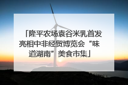 隆平农场袁谷米乳首发亮相中非经贸博览会“味道湖南”美食市集