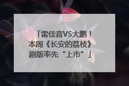 雷佳音VS大鹏！本周《长安的荔枝》剧版率先“上市”