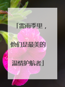 雷雨季里，他们是最美的温情护航者