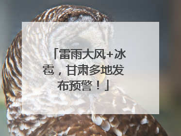 雷雨大风+冰雹，甘肃多地发布预警！