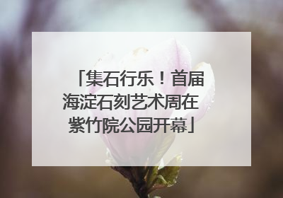 集石行乐！首届海淀石刻艺术周在紫竹院公园开幕