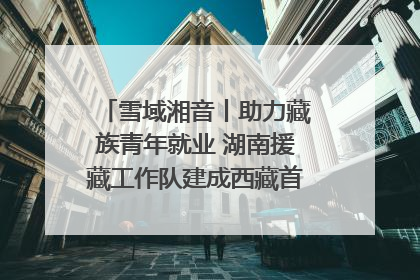 雪域湘音丨助力藏族青年就业 湖南援藏工作队建成西藏首个清洁能源装备园