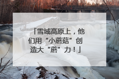 雪域高原上，他们用“小蘑菇”创造大“蘑”力！
