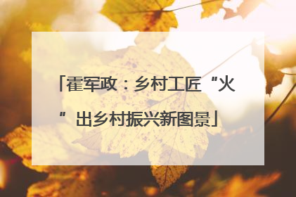 霍军政：乡村工匠“火”出乡村振兴新图景