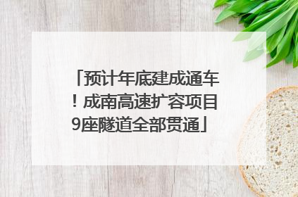 预计年底建成通车！成南高速扩容项目9座隧道全部贯通