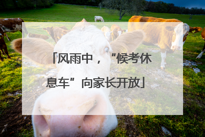 风雨中，“候考休息车”向家长开放