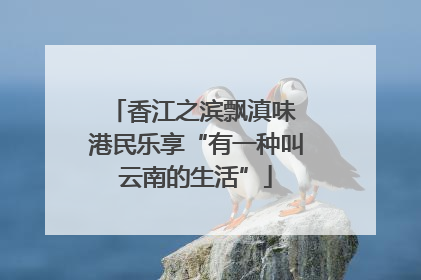 香江之滨飘滇味 港民乐享“有一种叫云南的生活”