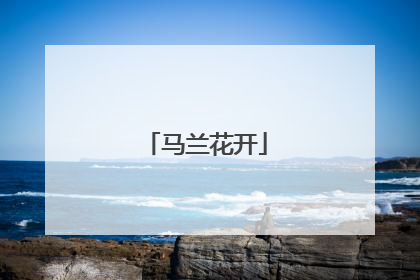 马兰花开