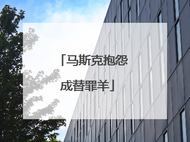 马斯克抱怨成替罪羊