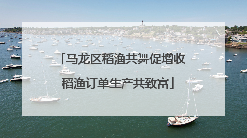 马龙区稻渔共舞促增收 稻渔订单生产共致富