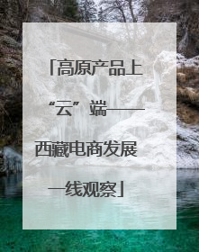 高原产品上“云”端——西藏电商发展一线观察