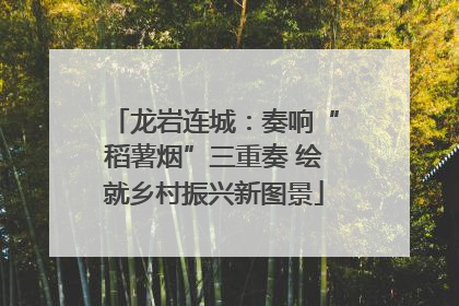 龙岩连城：奏响“稻薯烟”三重奏 绘就乡村振兴新图景