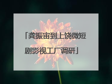 龚振宙到上饶微短剧影视工厂调研