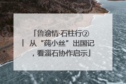 鲁渝情·石柱行② ︳从“莼小丝”出国记，看淄石协作启示
