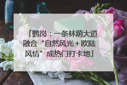 鹤岗：一条林荫大道融合“自然风光＋欧陆风情”成热门打卡地