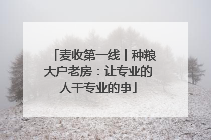 麦收第一线丨种粮大户老房：让专业的人干专业的事