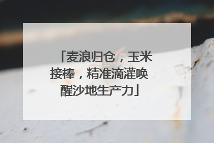 麦浪归仓，玉米接棒，精准滴灌唤醒沙地生产力