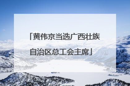 黄伟京当选广西壮族自治区总工会主席