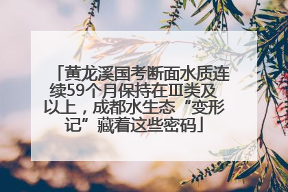 黄龙溪国考断面水质连续59个月保持在Ⅲ类及以上，成都水生态“变形记”藏着这些密码