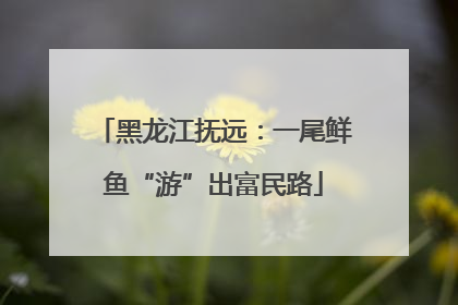 黑龙江抚远：一尾鲜鱼“游”出富民路