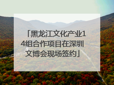 黑龙江文化产业14组合作项目在深圳文博会现场签约