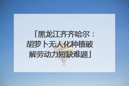 黑龙江齐齐哈尔：胡萝卜无人化种植破解劳动力短缺难题