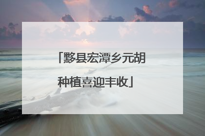 黟县宏潭乡元胡种植喜迎丰收