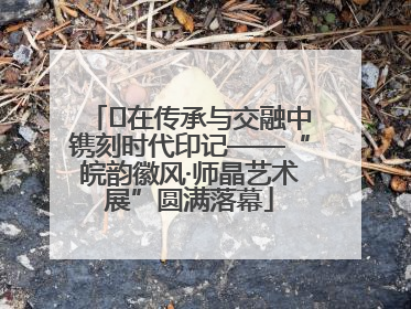 ﻿在传承与交融中镌刻时代印记——“皖韵徽风·师晶艺术展”圆满落幕