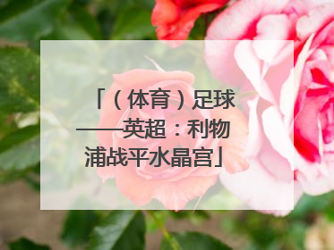 （体育）足球——英超：利物浦战平水晶宫