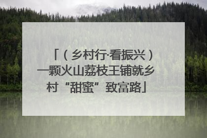 （乡村行·看振兴）一颗火山荔枝王铺就乡村“甜蜜”致富路
