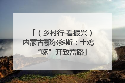 （乡村行·看振兴）内蒙古鄂尔多斯：土鸡“啄”开致富路