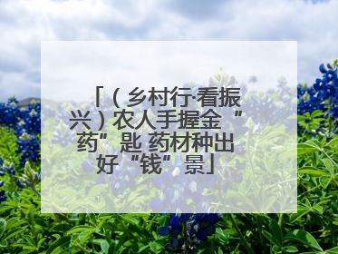 （乡村行·看振兴）农人手握金“药”匙 药材种出好“钱”景