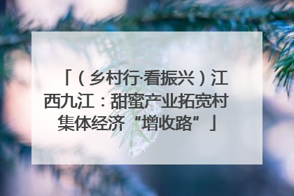 （乡村行·看振兴）江西九江：甜蜜产业拓宽村集体经济“增收路”