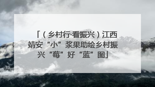 （乡村行·看振兴）江西靖安“小”浆果助绘乡村振兴“莓”好“蓝”图