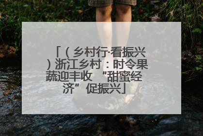 （乡村行·看振兴）浙江乡村：时令果蔬迎丰收 “甜蜜经济”促振兴