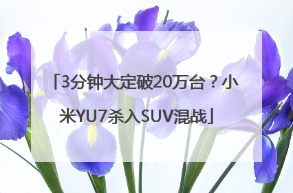 3分钟大定破20万台？小米YU7杀入SUV混战